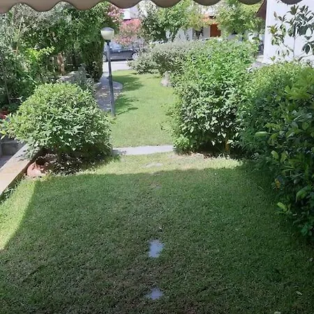Little In Kassandra Halkidiki * פורקה